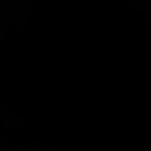 Meet your Posher, Yvonne