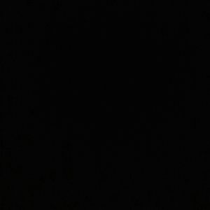 Meet your Posher, Sammy