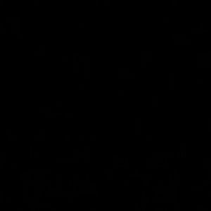 Meet your Posher, Bryant