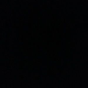 Meet your Posher, Shanell