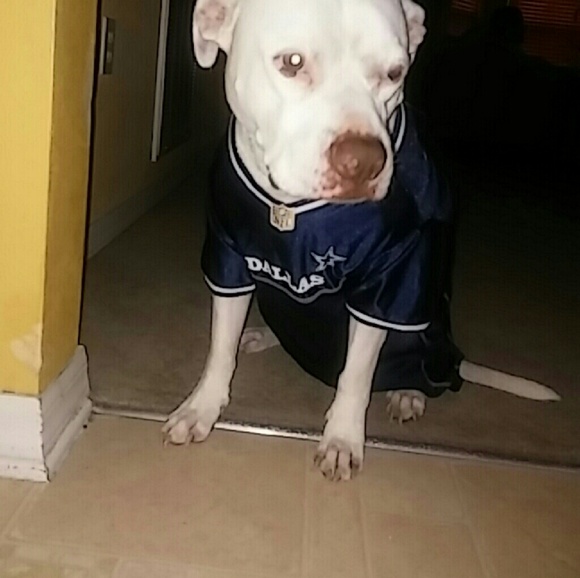 Meet your Posher & family , SerenasAppeal - Picture 3 of 3