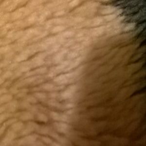 Meet your Posher, Isabel