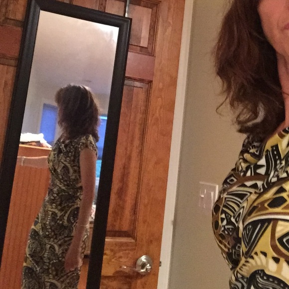 Lafayette 148 safari print dress