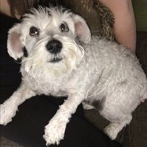 Meet your Posher, Blanca