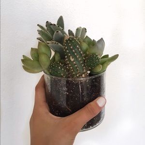 Meet your Posher, Riley