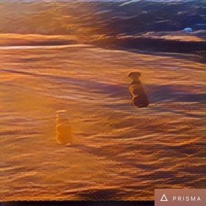 Meet your Posher, Jerri