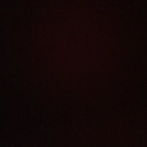 Meet your Posher, Delaney