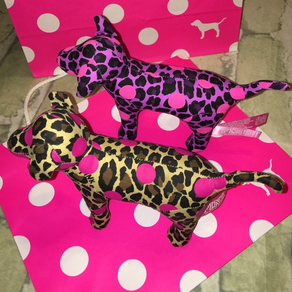 VS DOGS
