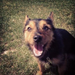 Meet your Posher, Dana