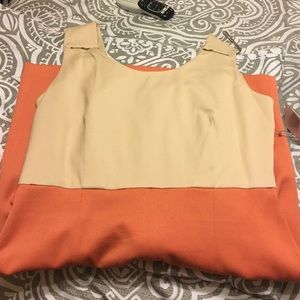 Two tone dress BRAND NEW dress