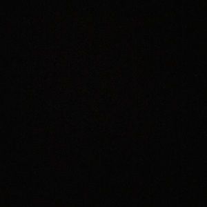 Meet your Posher, Bradie