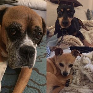 Meet your Posher, Peggy