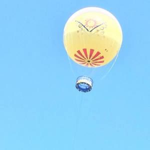 Meet your Posher, Judy