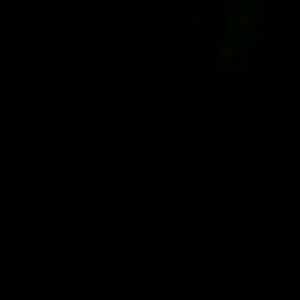 Meet your Posher, Ricky