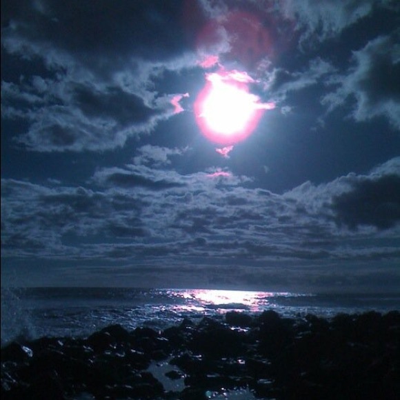 Meet your Posher, Michelle - Picture 4 of 4