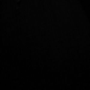 Meet your Posher, Santasia