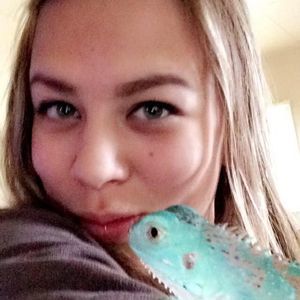 Meet your Posher, Sierra