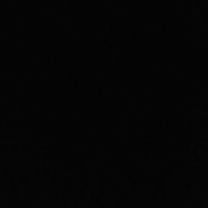 Meet your Posher, Nyla