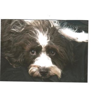 Meet your Posher, Sheri