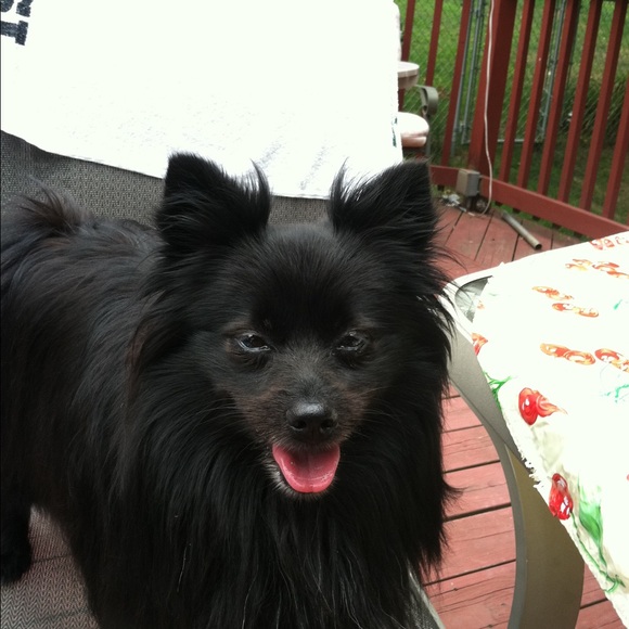 Meet your Posher, Kathy - Picture 2 of 2