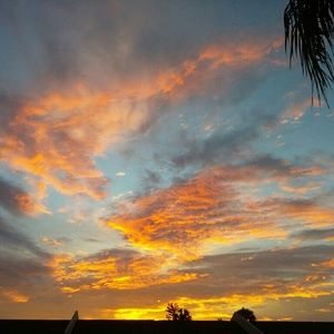 Meet your Posher, Gentry