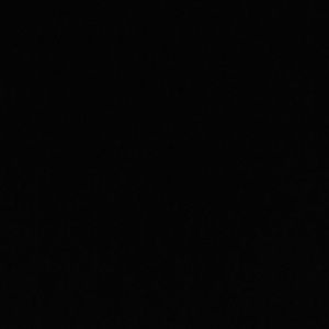 Meet your Posher, Tatum