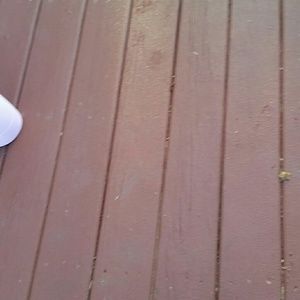 Meet your Posher, Kiara