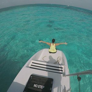 Meet your Posher, Elise