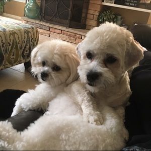 Meet your Posher, Angela