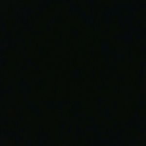 Meet your Posher, Deedee