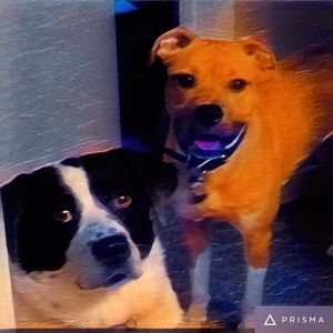 Meet your Posher, Erika