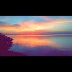 Meet your Posher, Sydney