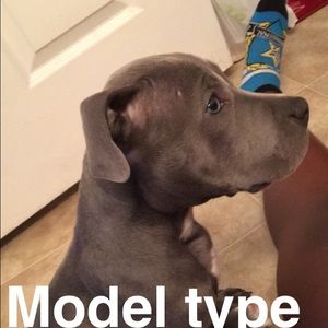 Meet your Posher, Kyana