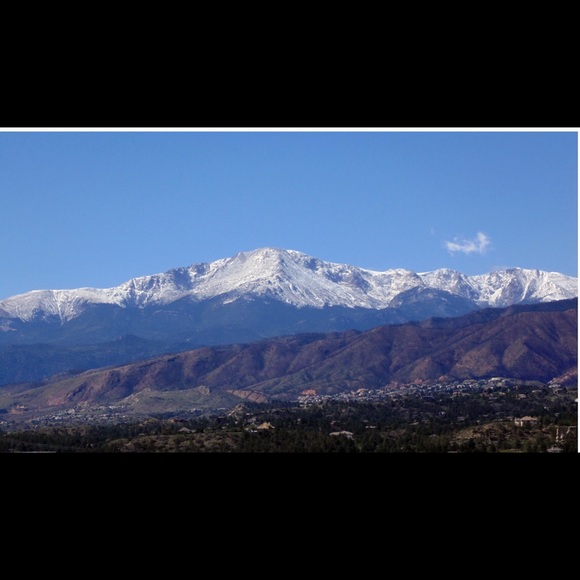 Meet your Posher, Bailey - Picture 1 of 1