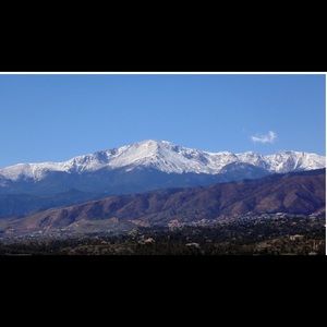 Meet your Posher, Bailey