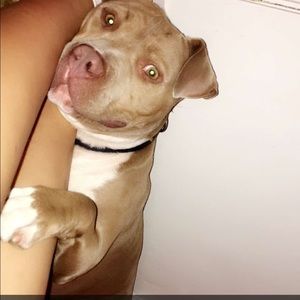 Meet your Posher, Diana