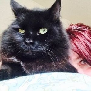 Meet your Posher, Sherry