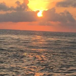 Meet your Posher, Aimee