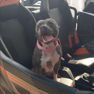 Meet your Posher, Jessica