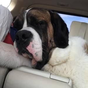 Meet your Posher, Linda