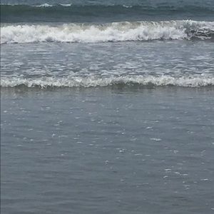 Meet your Posher, Joyce