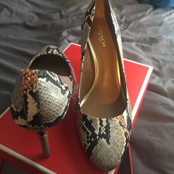 Coach heels