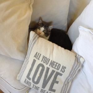 Meet your Posher, Connie