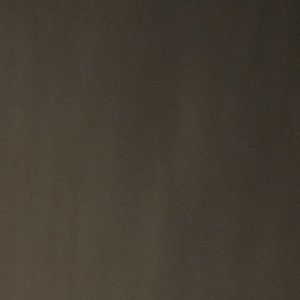 Meet your Posher, Lily