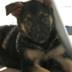 Meet your Posher, Hailey