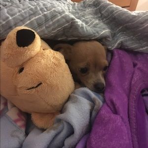 Meet your Posher, Christopher