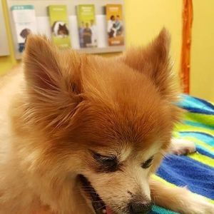 Meet your Posher, Debbie