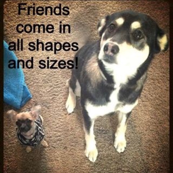 Dog Lover's Necklace - Picture 4 of 4