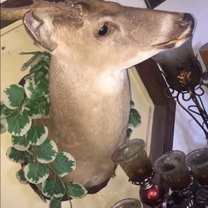 Meet your Posher, Ken