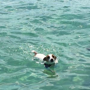 Meet your Posher, Meagan